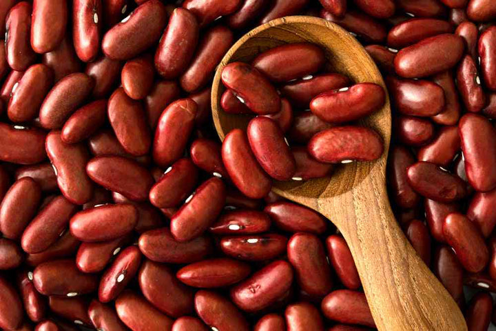 Dark Red Kidney Bean