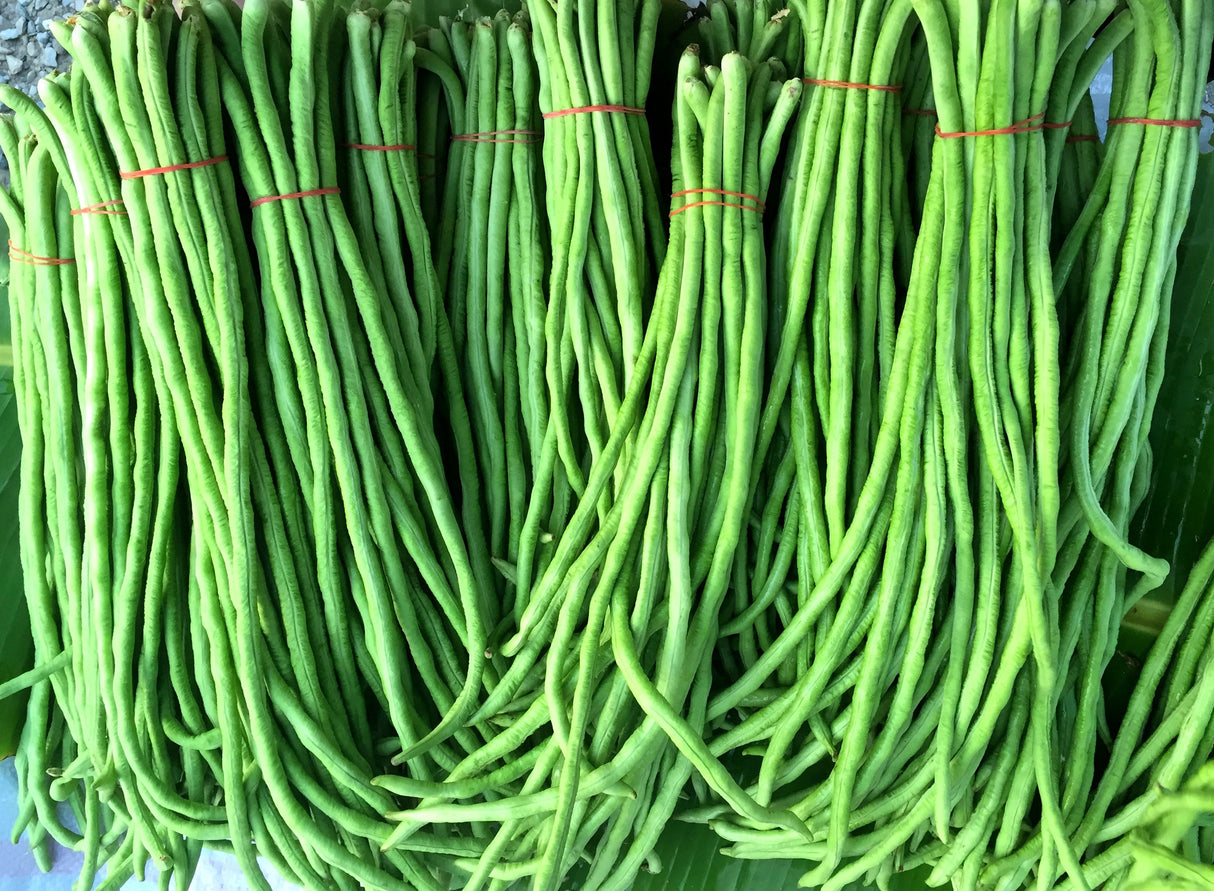 Bean Seeds - Pole- Yard Long - You Fong Wong