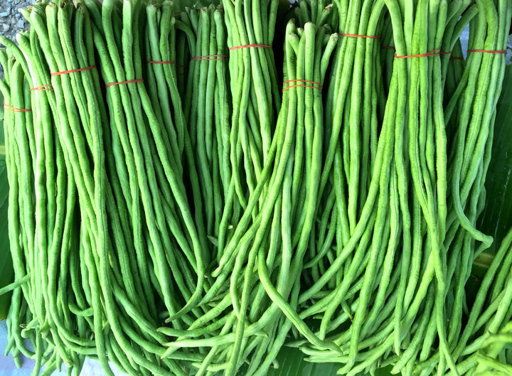 You Fong Wong Yardlong Bean