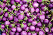 Eggplant Seeds - Round Mauve