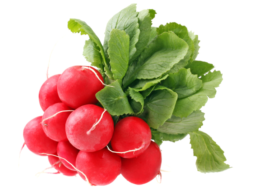 Radish Seeds - Early Scarlet Globe