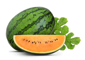 Watermelon Seeds - Orangeglo - Alliance of Native Seedkeepers