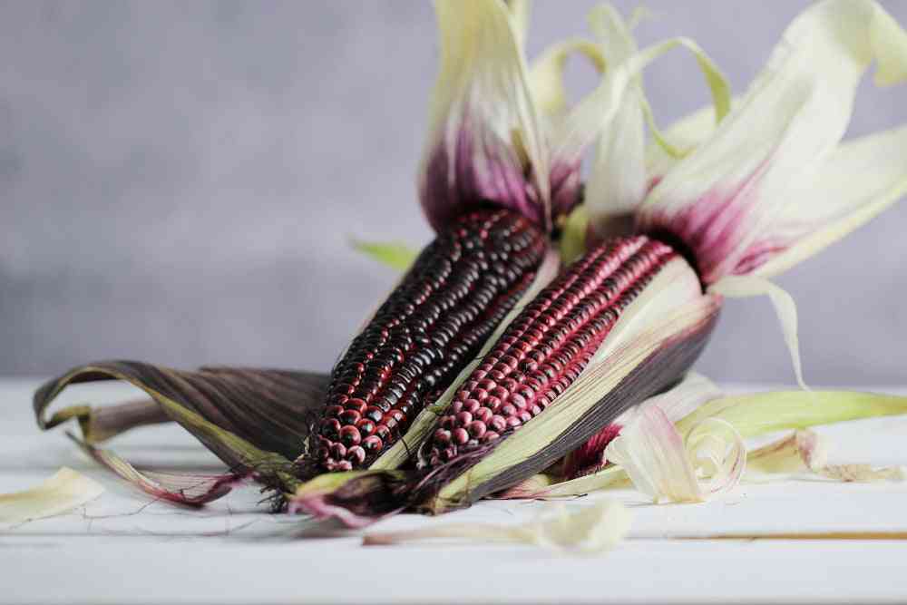 Corn Seeds - Sweet - Double Red