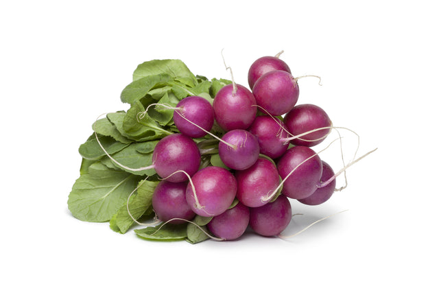 Radish Seeds - Purple Plum - Alliance of Native Seedkeepers