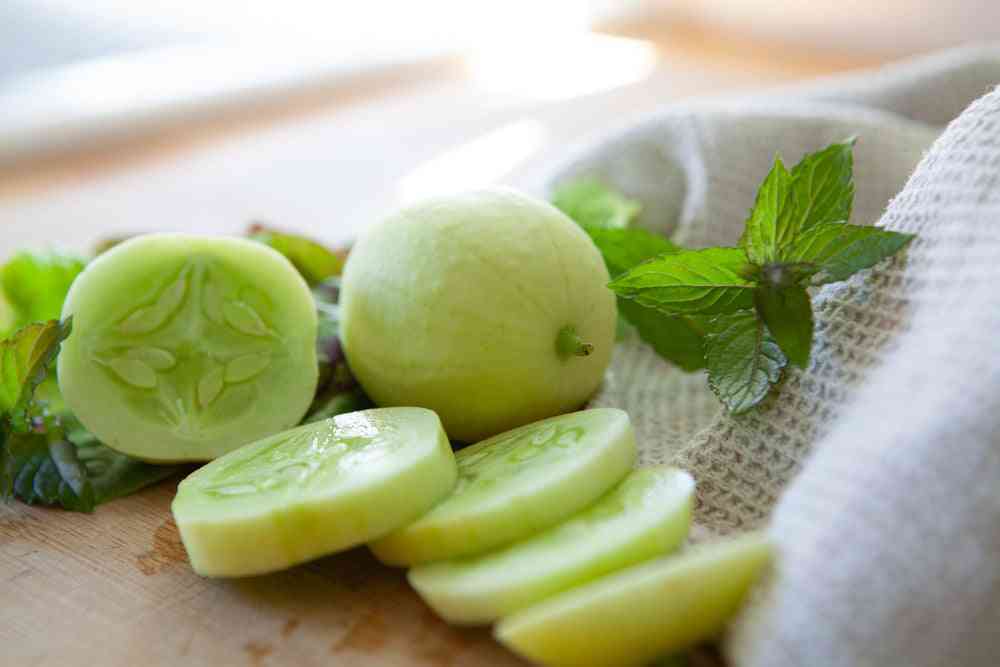 Cucumber Seeds - Dragons Egg - Alliance of Native Seedkeepers