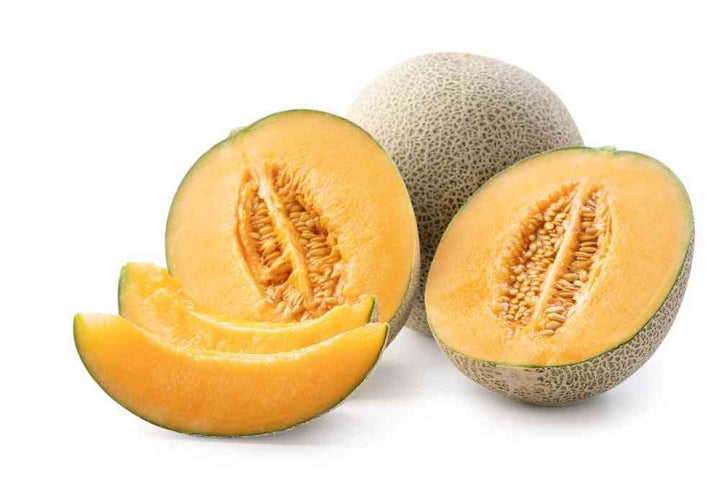 Honey Rock Melon Seeds