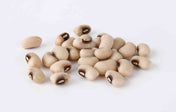 Cowpeas seeds for planting
