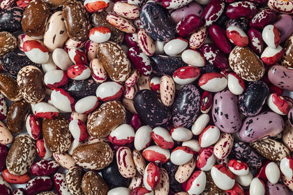 The Seed Aisle