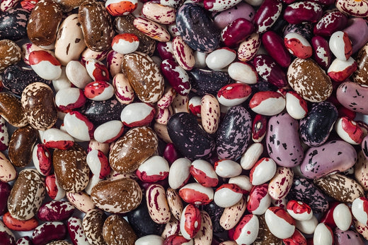 The Seed Aisle