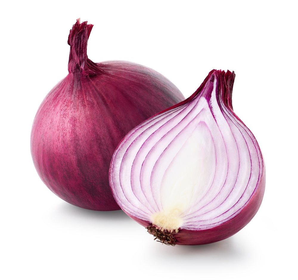 Onion Seeds - Intermediate - Red Burgundy