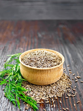 Cumin Seeds - Alliance of Native Seedkeepers
