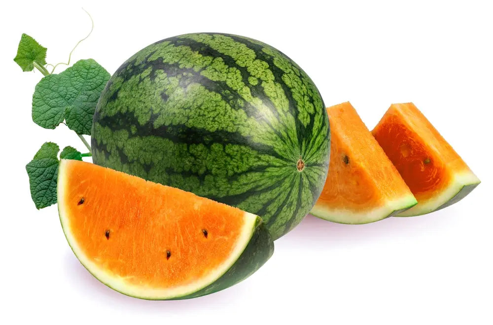 Watermelon Seeds - Tendersweet Orange
