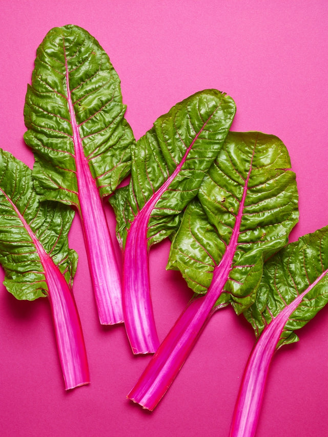Chard Seeds - Swiss - Pink Lipstick - Alliance of Native Seedkeepers