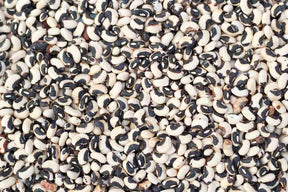 Black and white Phenomenal cowpeas seeds for planting