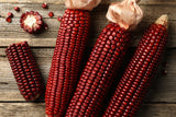 Corn Seeds - Dent - Jimmy Red