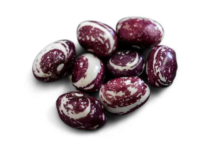 Good Mother Stallard Pole Dry Bean