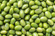 Bean Seeds - Bush - Mappe Green Mung