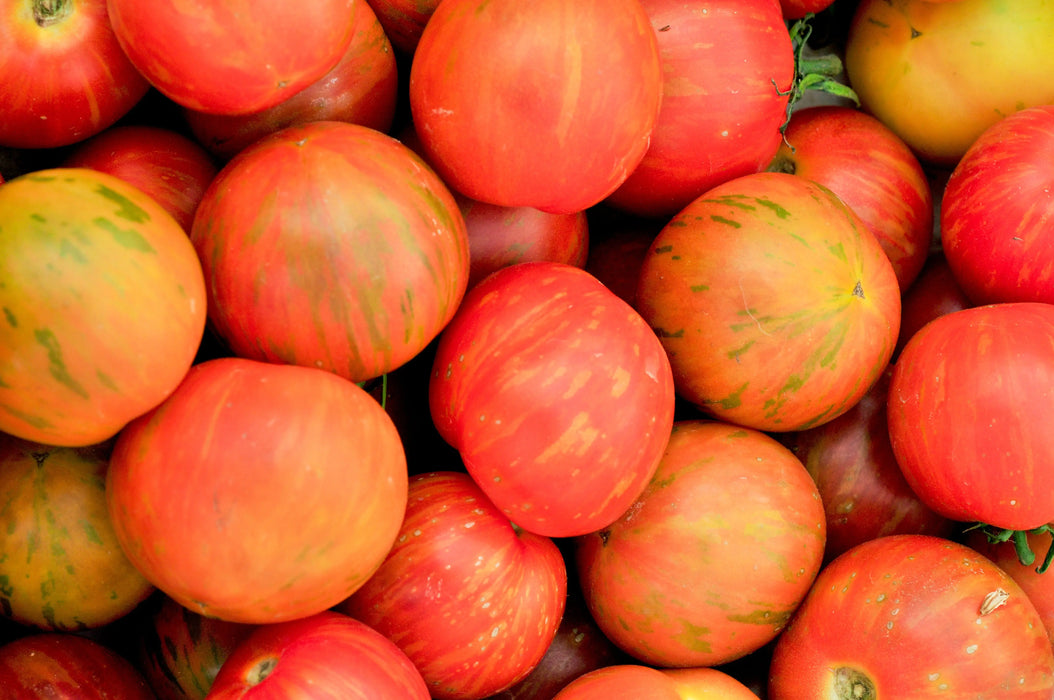 Tomato Seeds - Tigerella