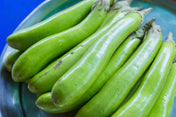 Eggplant Seeds - Thai Long Green - Alliance of Native Seedkeepers