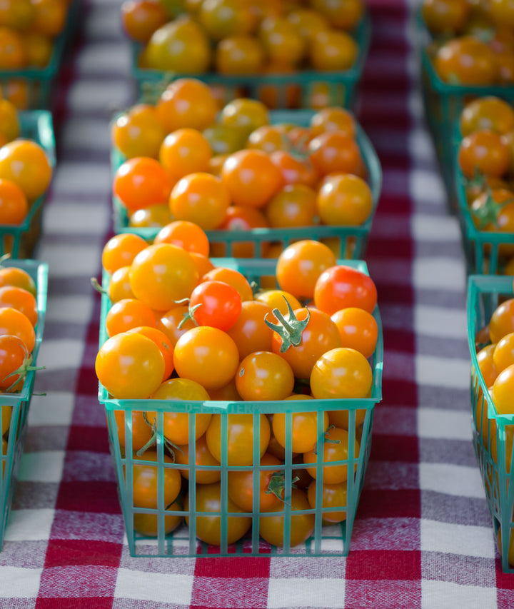 Sungold Hybrid Tomato Seeds
