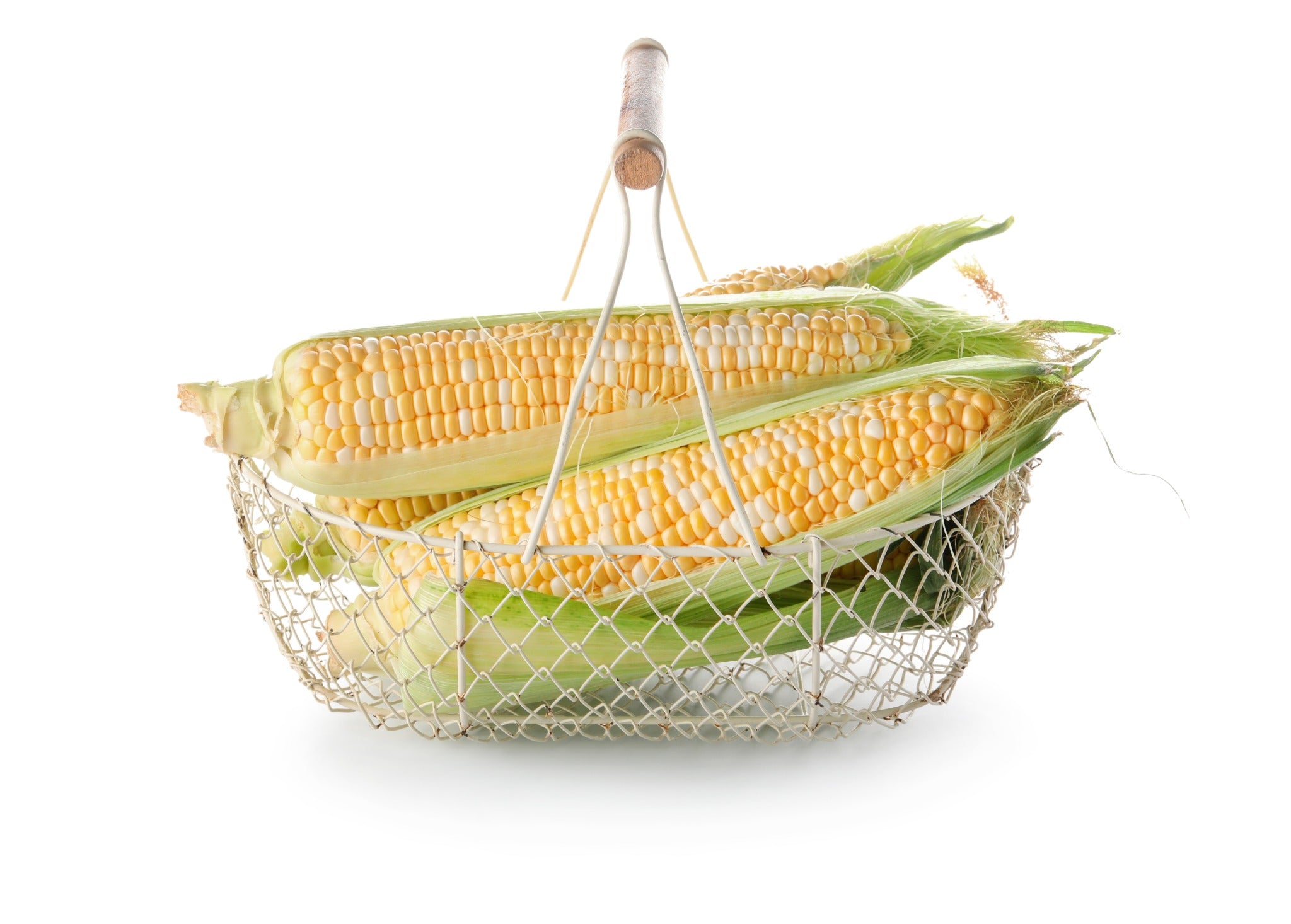 Basket filled with freshly harvested sweet-corn ears