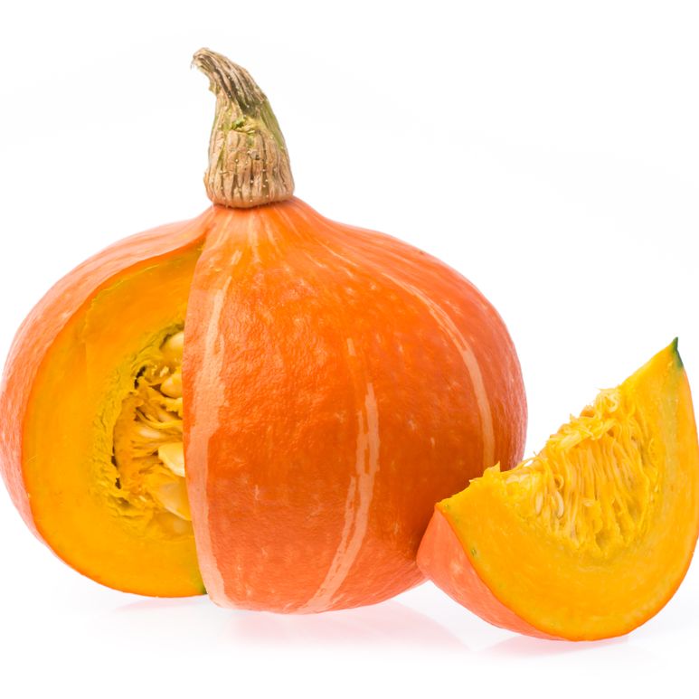 Squash Seeds - Winter - Bush - Gold Nugget - Alliance of Native Seedkeepers - Vegetable Seeds