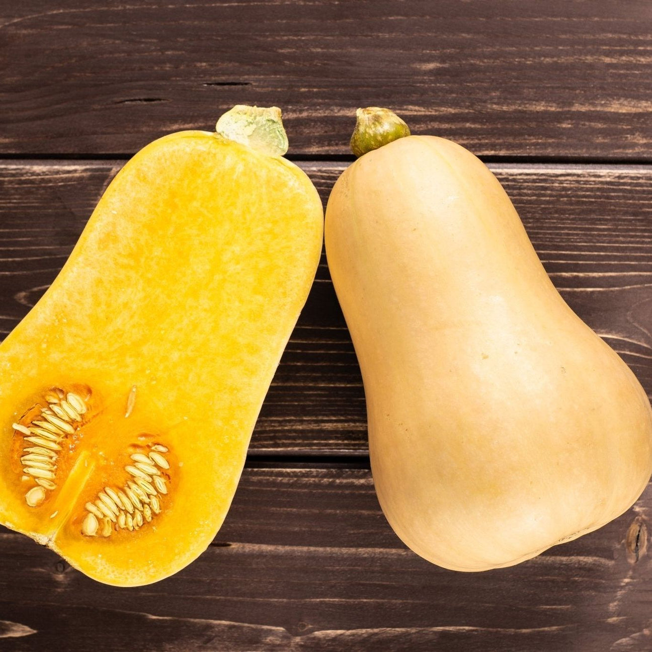 Dark Olive Green Squash Seeds - Winter - Vining - Butternut Waltham Squash Alliance Of Native Seedkeepers Vegetable Seeds