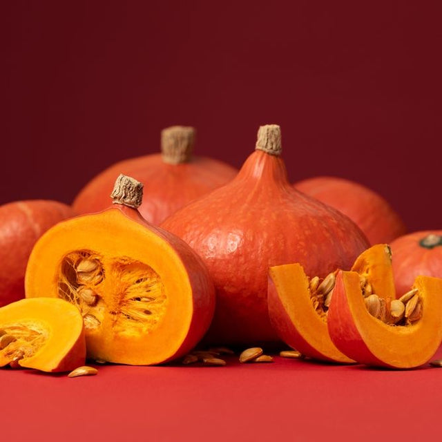 Squash Seeds - Winter - Vining - Japanese Red Kuri (Uchiki Kuri) - Alliance of Native Seedkeepers - Vegetable Seeds