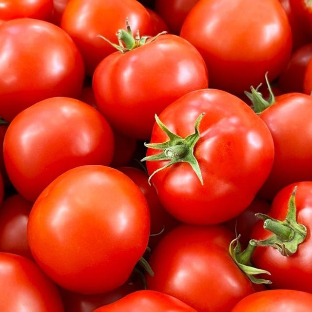 Tomato Seeds - Determinate - Oregon Spring Standard - Alliance of Native Seedkeepers - Vegetable Seeds