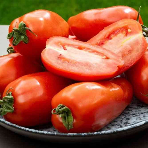 San Marzano Tomato Seeds