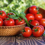 Tomato Seeds - Indeterminate - Arkansas Traveler Slicing - Alliance of Native Seedkeepers - Vegetable Seeds