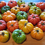 Tomato Seeds - Indeterminate - Beefsteak Rainbow Blend - Alliance of Native Seedkeepers - Vegetable Seeds
