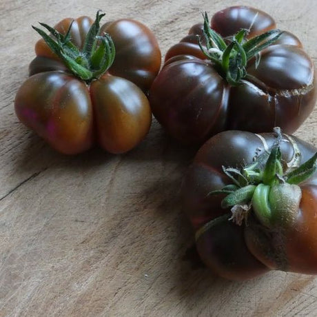 Tomato Seeds - Indeterminate - Brandywine Black - Alliance of Native Seedkeepers - Vegetable Seeds