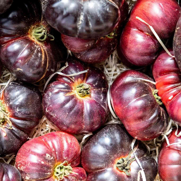 Cherokee Purple Tomato Seeds