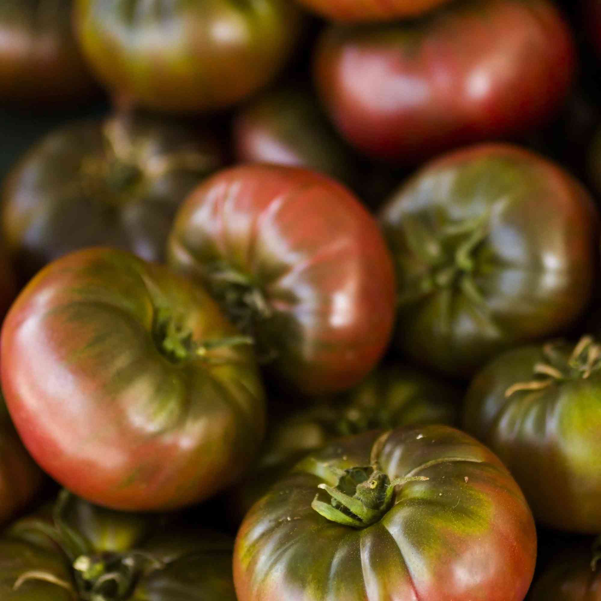Cherokee Purple Tomato Seeds | Flavor, History & Growing