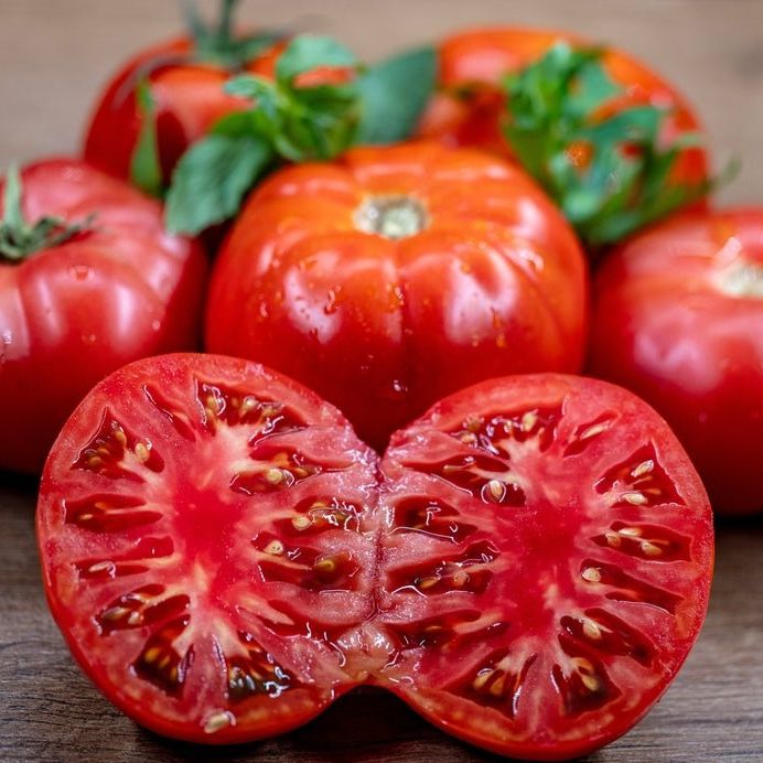 Tomato Seeds - Indeterminate - Dester - Alliance of Native Seedkeepers - Vegetable Seeds