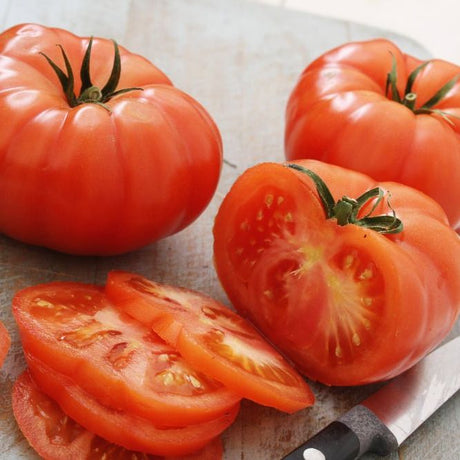 Tomato Seeds - Indeterminate - Dutchman - Alliance of Native Seedkeepers - Vegetable Seeds