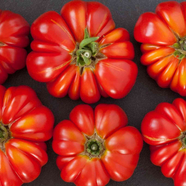 German Johnson Tomato Seeds