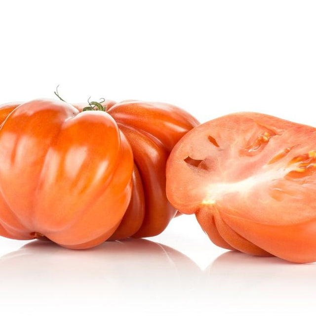 Tomato Seeds - Indeterminate - Giant Red Beefsteak - Alliance of Native Seedkeepers - Vegetable Seeds