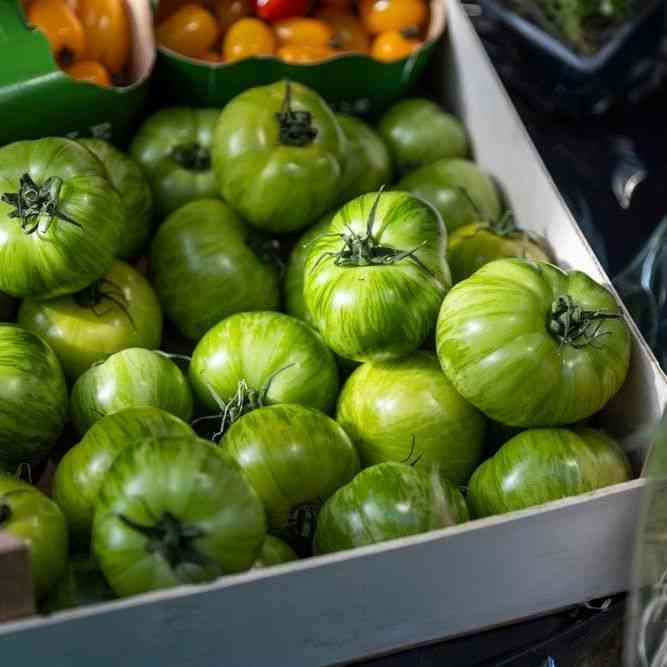Tomato Seeds - Indeterminate - Green Zebra Standard