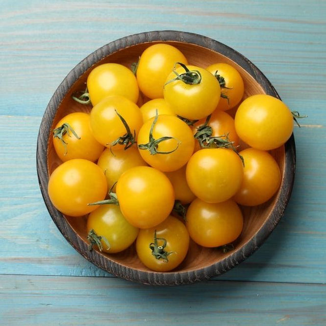 Tomato Seeds - Indeterminate - Hartman's Yellow Gooseberry - Alliance of Native Seedkeepers - Vegetable Seeds
