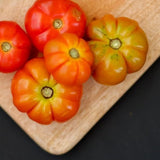 Tomato Seeds - Indeterminate - Hillbilly Beefsteak Regular Leaf - Alliance of Native Seedkeepers - Vegetable Seeds