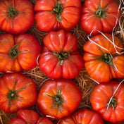 Tomato Seeds - Indeterminate - Mushroom Basket - Alliance of Native Seedkeepers - Vegetable Seeds