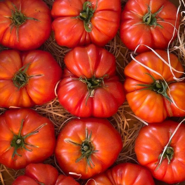Tomato Seeds - Indeterminate - Mushroom Basket - Alliance of Native Seedkeepers - Vegetable Seeds