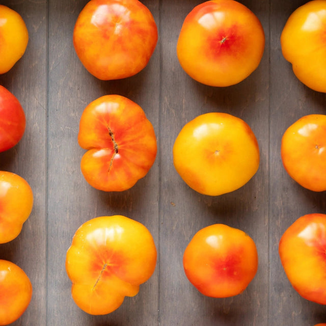 Chocolate Tomato Seeds - Indeterminate - Oaxacan Jewel Standard Alliance Of Native Seedkeepers Vegetable Seeds