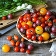 Tomato Seeds - Indeterminate - Rainbow Cherry Mix - Alliance of Native Seedkeepers - Vegetable Seeds
