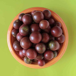 Tomato Seeds - Indeterminate - Rosella - Alliance of Native Seedkeepers - Vegetable Seeds