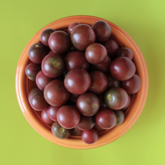 Tomato Seeds - Indeterminate - Rosella - Alliance of Native Seedkeepers - Vegetable Seeds