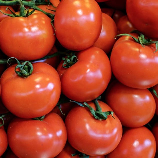 Tomato Seeds - Indeterminate - Thessaloniki - Alliance of Native Seedkeepers - Vegetable Seeds