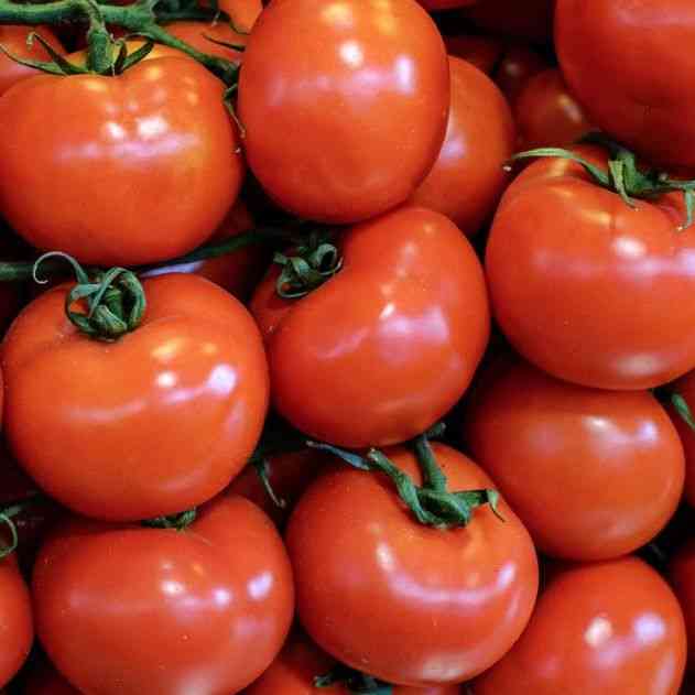 Thessaloniki Tomato Seeds